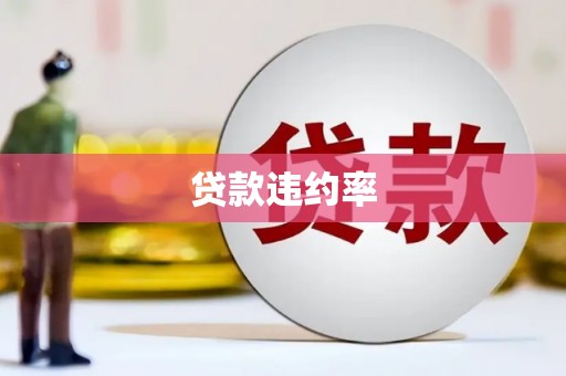 兰考贷款违约率