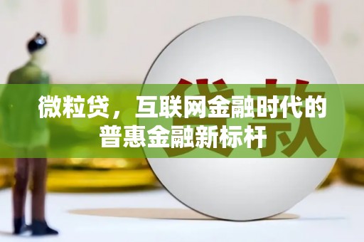 兰考微粒贷，互联网金融时代的普惠金融新标杆