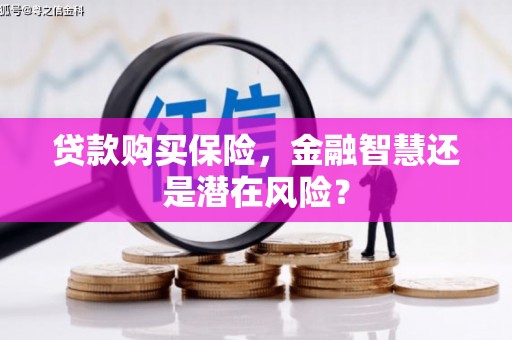 兰考贷款购买保险，金融智慧还是潜在风险？