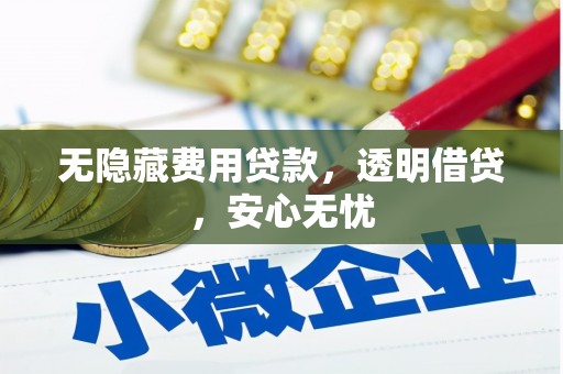 兰考无隐藏费用贷款，透明借贷，安心无忧