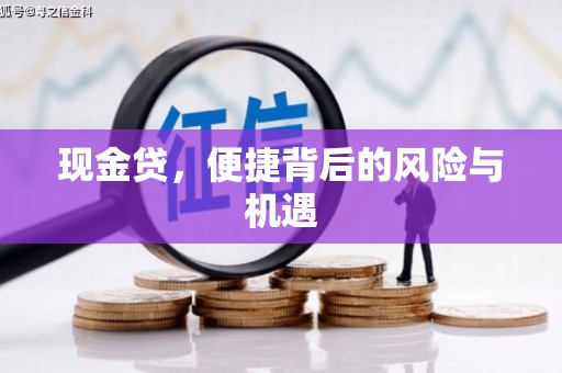 兰考现金贷，便捷背后的风险与机遇