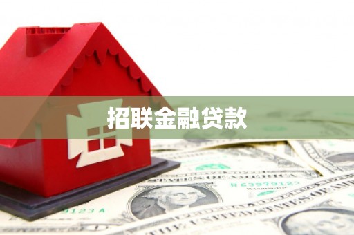 兰考招联金融贷款