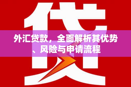 兰考外汇贷款，全面解析其优势、风险与申请流程