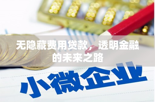 兰考无隐藏费用贷款，透明金融的未来之路