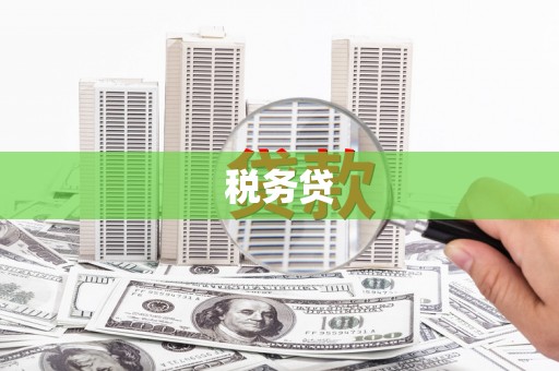 兰考税务贷