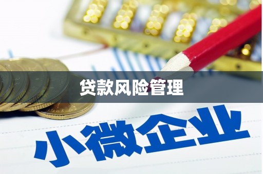 兰考贷款风险管理