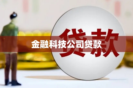 兰考金融科技公司贷款