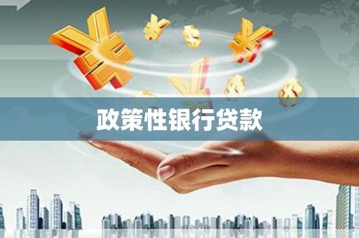 兰考政策性银行贷款