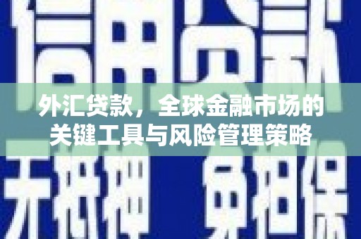 兰考外汇贷款，全球金融市场的关键工具与风险管理策略