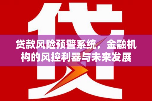 兰考贷款风险预警系统，金融机构的风控利器与未来发展