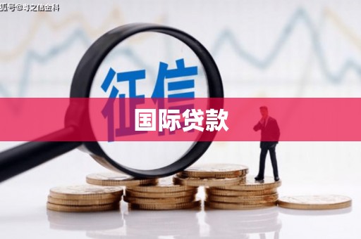 兰考国际贷款