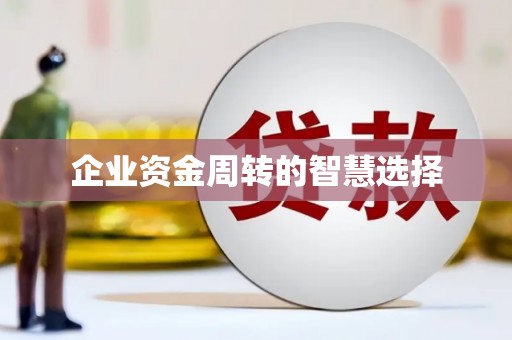兰考企业资金周转的智慧选择