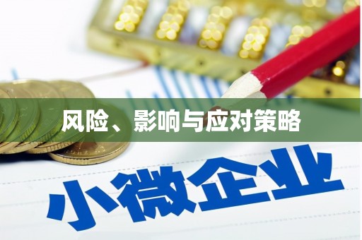 兰考风险、影响与应对策略
