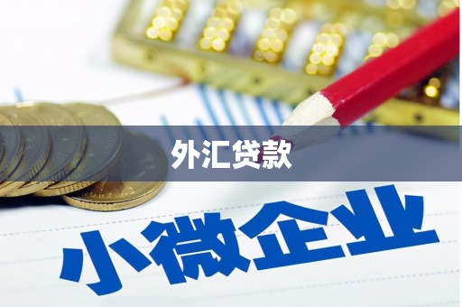 兰考外汇贷款