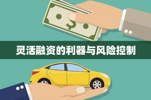 兰考灵活融资的利器与风险控制