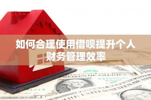 兰考如何合理使用借呗提升个人财务管理效率