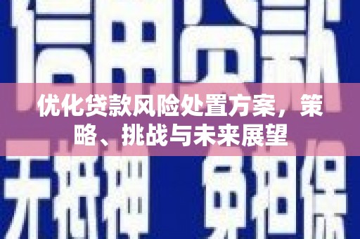 兰考优化贷款风险处置方案，策略、挑战与未来展望
