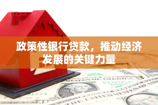 兰考政策性银行贷款，推动经济发展的关键力量