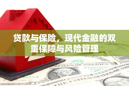兰考贷款与保险，现代金融的双重保障与风险管理