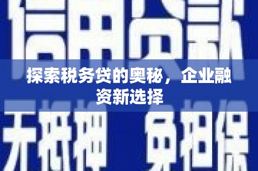 兰考探索税务贷的奥秘，企业融资新选择