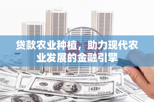 兰考贷款农业种植，助力现代农业发展的金融引擎
