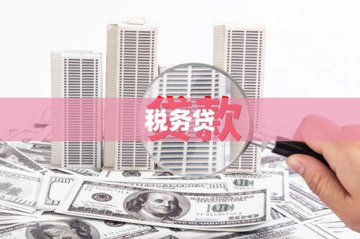 兰考税务贷