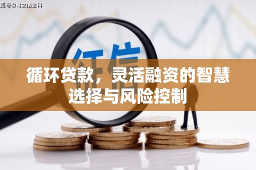 兰考循环贷款，灵活融资的智慧选择与风险控制