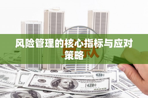 兰考风险管理的核心指标与应对策略