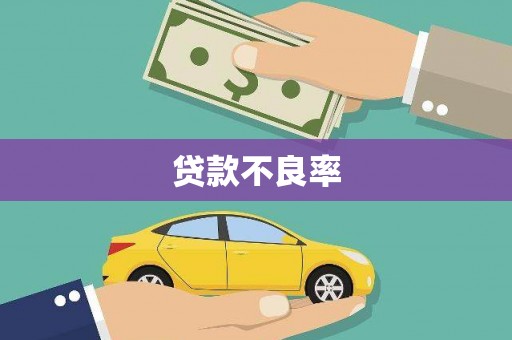 兰考贷款不良率