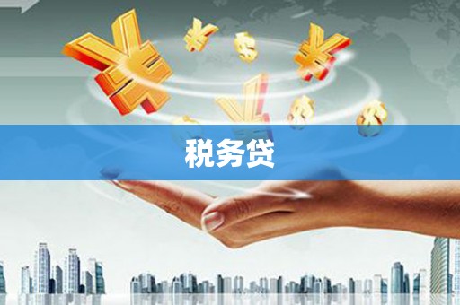 兰考税务贷