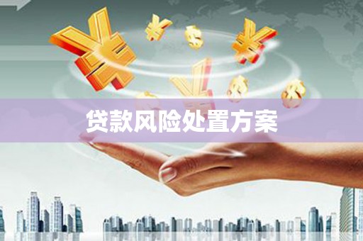 兰考贷款风险处置方案