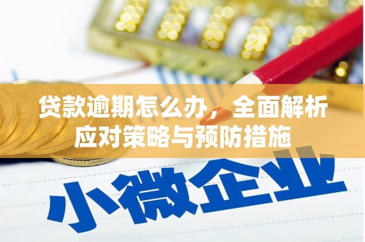 兰考贷款逾期怎么办，全面解析应对策略与预防措施