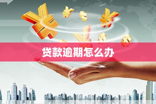 兰考贷款逾期怎么办