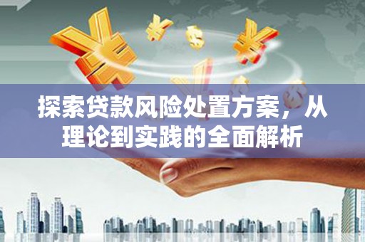 兰考探索贷款风险处置方案，从理论到实践的全面解析