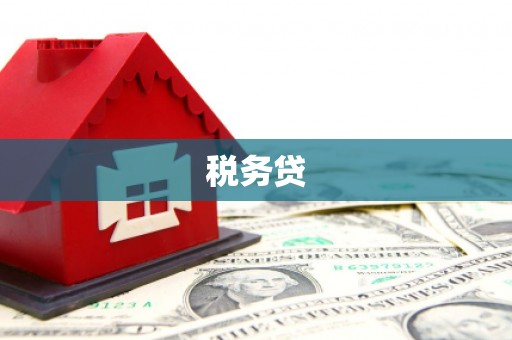 兰考税务贷