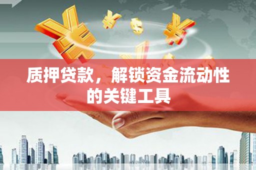兰考质押贷款，解锁资金流动性的关键工具