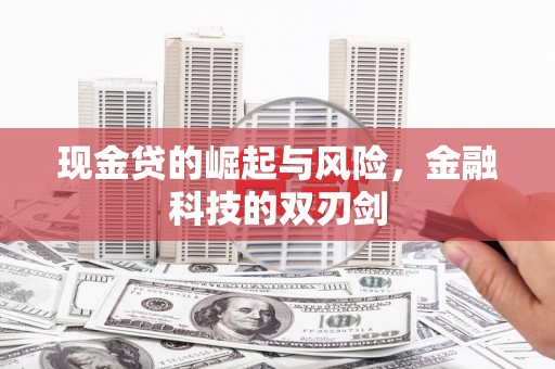 兰考现金贷的崛起与风险，金融科技的双刃剑