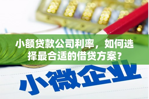 兰考小额贷款公司利率，如何选择最合适的借贷方案？