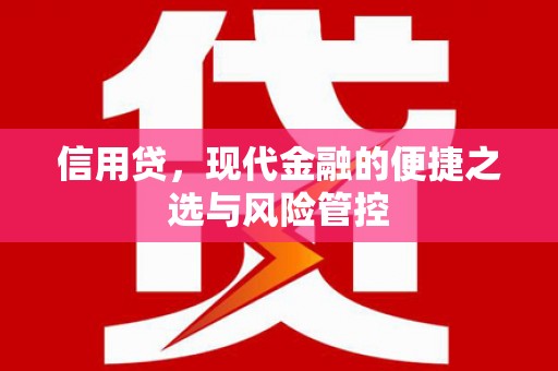兰考信用贷，现代金融的便捷之选与风险管控