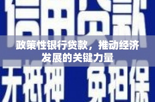 兰考政策性银行贷款，推动经济发展的关键力量