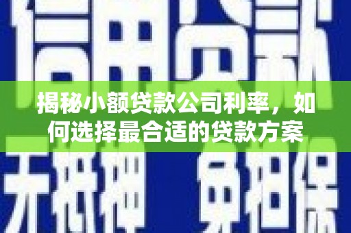 兰考揭秘小额贷款公司利率，如何选择最合适的贷款方案
