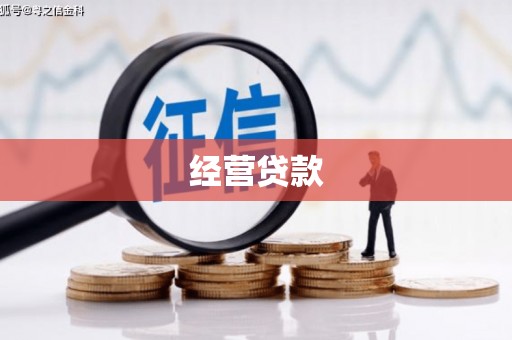 兰考经营贷款