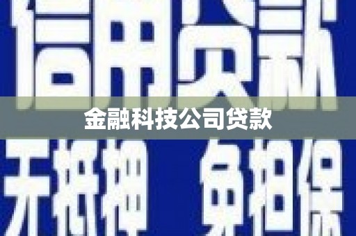 兰考金融科技公司贷款
