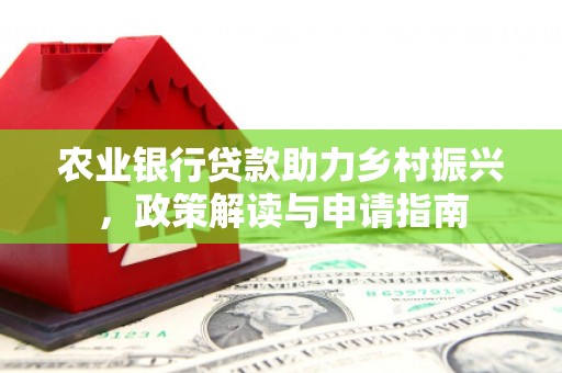兰考农业银行贷款助力乡村振兴，政策解读与申请指南