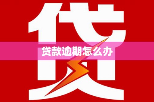 兰考贷款逾期怎么办