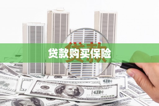兰考贷款购买保险