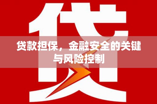 兰考贷款担保，金融安全的关键与风险控制