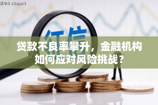 兰考贷款不良率攀升，金融机构如何应对风险挑战？