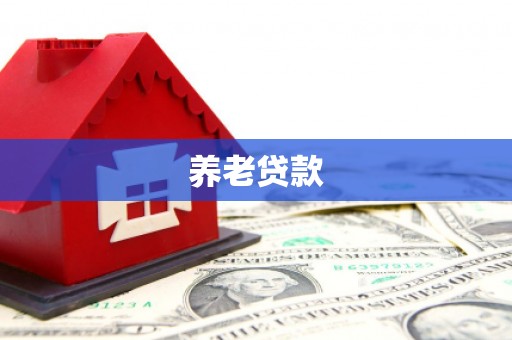 兰考养老贷款