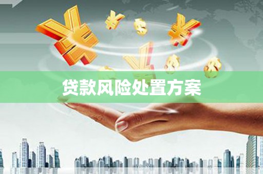 兰考贷款风险处置方案